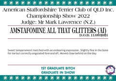 8.A. AMSTAFOMINE ALL THAT GLITTERS (AI).png